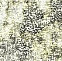 ��ɫƤ��ߵ�ͼ