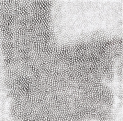 �Ұ�ɫƤ��ߵ�ͼ