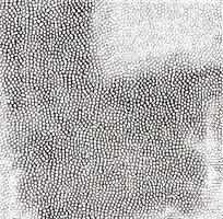 �Ұ�ɫƤ��ߵ�ͼ