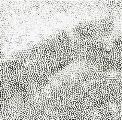 �Ұ�ɫƤ��ߵ�ͼ