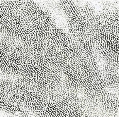 �Ұ�ɫƤ��ߵ�ͼ