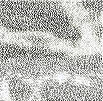 �Ұ�ɫƤ��ߵ�����ͼ