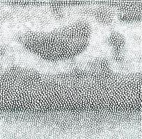 �Ұ�ɫƤ��ߵ�����ͼ