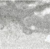 �Ұ�ɫƤ�������ߵ�ͼ