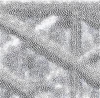 �Ұ�ɫƤ�������߿�ͼ