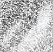 �Ұ�ɫƤ�������߿�ͼ