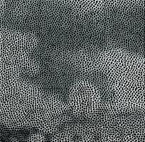 �Һ�ɫƤ�������߿�ͼ