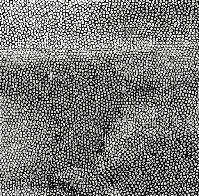 ��ɫƤ��ߵ�ͼ