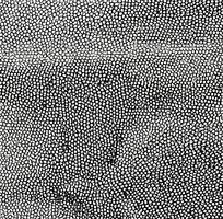 ��ɫƤ��ߵ�ͼ