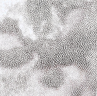 ��ɫƤ��ߵ�����ͼ