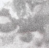 ��ɫƤ��ߵ�����ͼ