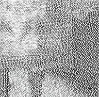 ��ɫƤ�������ߵ�ͼ