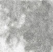 ��ɫƤ�������ߵ�ͼ