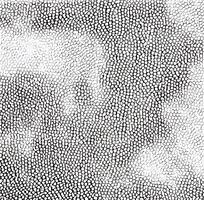 ��ɫƤ�������ߵ�ͼ