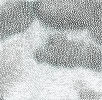 ��ɫƤ�������߿�ͼ