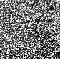 ��ɫƤ�������߿�ͼ