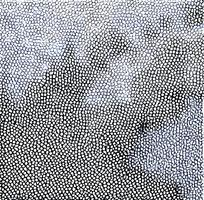 ��ɫƤ�������߿�ͼ