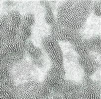 ��ɫƤ�������߿�ͼ