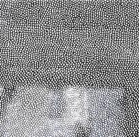 ��ɫƤ�������߿�ͼ