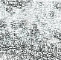 ��ɫɫƤ�������߿�ͼ