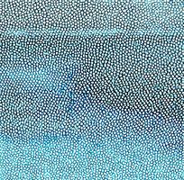 ����ɫƤ�������ߵ�ͼ