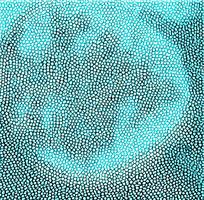 ����ɫƤ�������߿鵺״ͼ