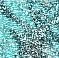 ����ɫƤ�������߿�ͼ