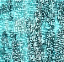 ����ɫƤ�������߿�ͼ