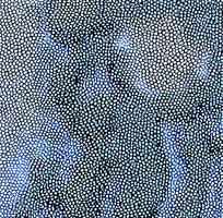 ����ɫƤ�������߿�ͼ