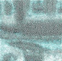 ����ɫƤ��ߵ�ͼ