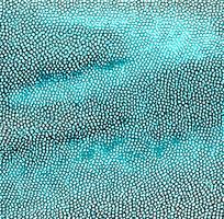 ����ɫƤ��ߵ�ͼ