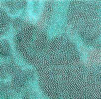 ����ɫƤ��ߵ�ͼ