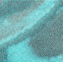 ����ɫƤ��ߵ�ͼ