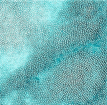 ����ɫƤ��ߵ�ͼ