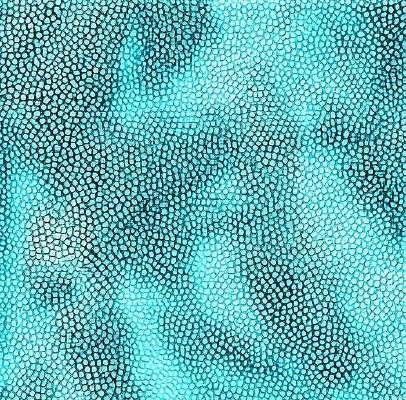 ����ɫƤ��ߵ�ͼ