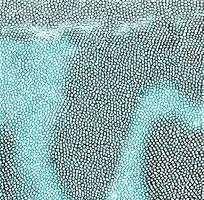 ����ɫƤ�������߿�ͼ