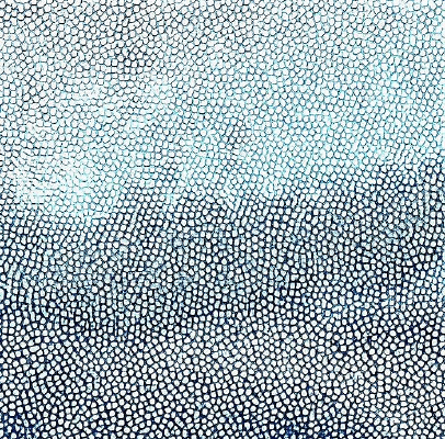 ��ɫƤ��ߵ�ͼ