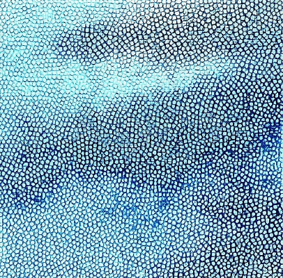 ��ɫƤ��ߵ�����ͼ