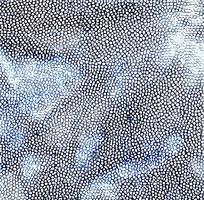 ��ɫƤ��ߵ�����ͼ