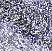 ��ɫƤ��ߵ�����ͼ