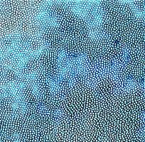 ��ɫƤ�������ߵ�ͼ