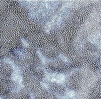 ��ɫƤ�������ߵ�ͼ