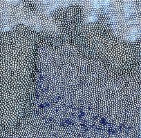 ��ɫƤ�������ߵ�ͼ