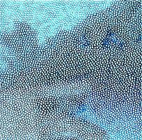 ��ɫƤ�������ߵ�ͼ