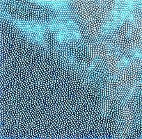 ��ɫƤ�������ߵ�ͼ