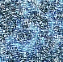 ��ɫƤ�������߿�ͼ