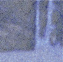 ��ɫƤ�������߿�ͼ