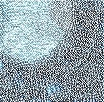 ��ɫƤ�������߿�ͼ