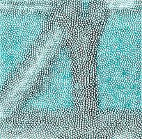 ��ɫ��ɫƤ�������߿�ͼ