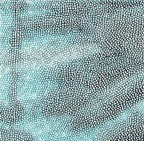 ��ɫƤ��ߵ�����ͼ